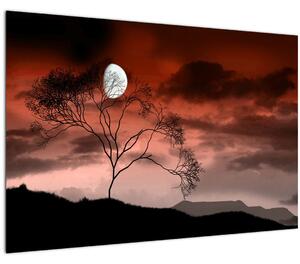 Kép - Hold megvilágítja az éjszakát (90x60 cm)