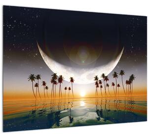 Kép - Hold a pálmafák felett (70x50 cm)