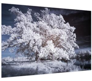 Kép - Hófehérke fa (90x60 cm)