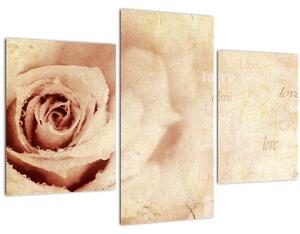 Kép - Rózsa virág szerelmeseknek (90x60 cm)
