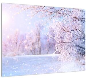 Kép - Fagyos tél (70x50 cm)
