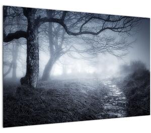 Kép - Út a ködben (90x60 cm)