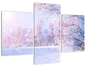 Kép - Fagyos tél (90x60 cm)