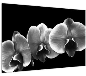 Egy orchidea virág képe (90x60 cm)