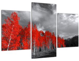 Kép - fák őszi színben (90x60 cm)