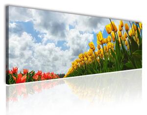 70x40 cm - Tulipánok vászonkép