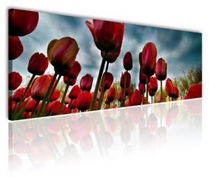 70x40 cm - Tulipánok vihar előtt vászonkép