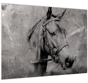 Kép - Egy ló portréja (70x50 cm)