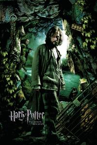 Művészi plakát Harry Potter and the Prisoner of Azkaban - Sirius