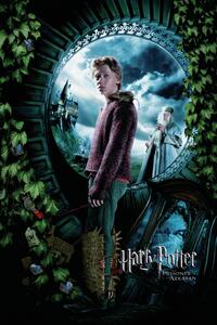 Művészi plakát Harry Potter and the Prisoner of Azkaban - Ron