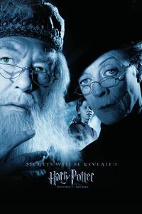 Művészi plakát Harry Potter and the Prisoner of Azkaban - Dumbledore