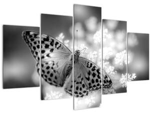 Kép - Részlet egy virágot beporzó pillangóról (150x105 cm)