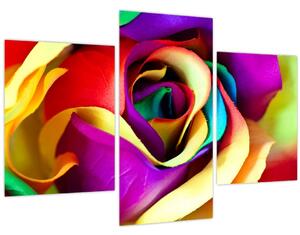Kép - Színes rózsa (90x60 cm)