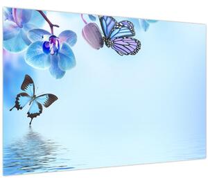 Kép - Pillangó orchidea virágon, kék (90x60 cm)
