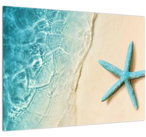 Kép - Tengeri csillag a tengerparton (70x50 cm)