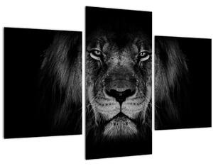 Kép - Az oroszlán és felsége (90x60 cm)