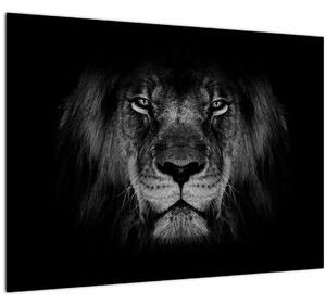 Kép - Az oroszlán és felsége (70x50 cm)