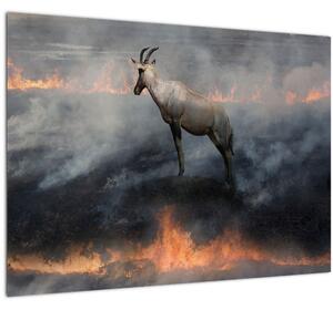 Zerge a tűzben képe (70x50 cm)