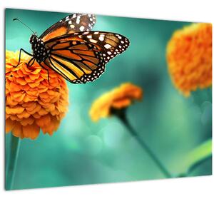 Egy pillangó képe (70x50 cm)