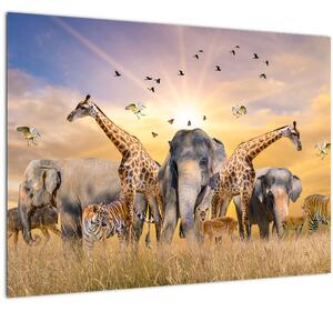 Kép - Afrikai állatok (70x50 cm)