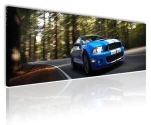 70x40 cm - Ford Shelby GT 500 vászonkép