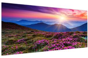 Kép - Hegyi virágzó táj (120x50 cm)