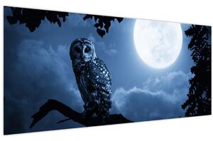 Kép - Éjszakai bagoly (120x50 cm)