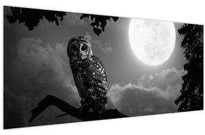 Kép - Éjjeli bagoly, fekete-fehér (120x50 cm)