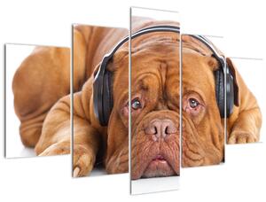 Kép egy kutya fejhallgatóval (150x105 cm)