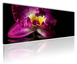 100x70 cm - Orchidea tükröződés vászonkép