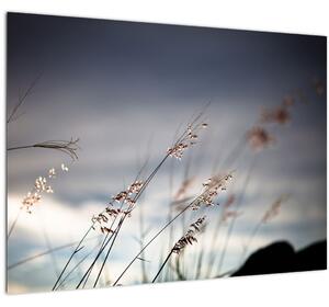 Kép - Rét virágai a tónál (70x50 cm)