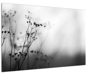 Kép - Réti virágok részlete (90x60 cm)