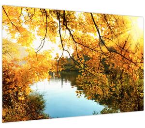Kép - Őszi fa (90x60 cm)