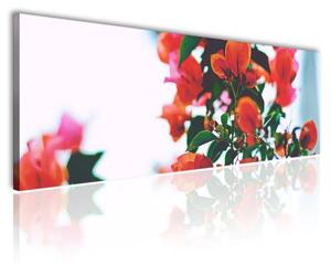 150x50 cm - Vörös apró virágok vászonkép