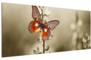 Pillangó képe (120x50 cm)
