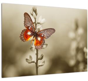 Pillangó képe (70x50 cm)