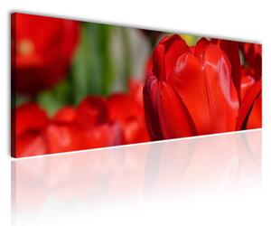 70x40 cm - Vörös tulipánok vászonkép