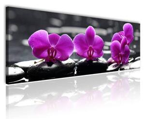 70x40 cm - Orchideák és jade kövek vászonkép