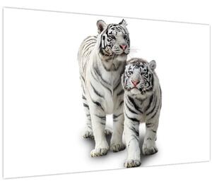 Kép - A fehér tigris (90x60 cm)