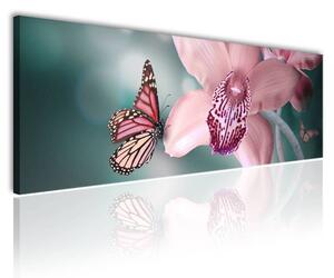 100x70 cm - Pillangó és orchidea vászonkép