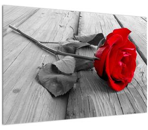 Egy vörös rózsa képe (90x60 cm)