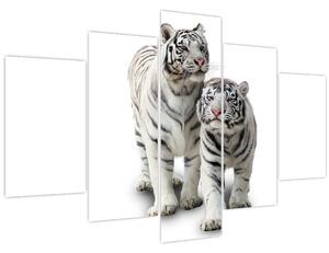 Kép - A fehér tigris (150x105 cm)
