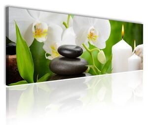 100x70 cm - Fehér orchidea feng shui vászonkép