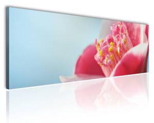 150x50 cm - Virág szírmok vászonkép