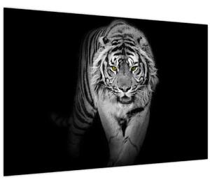 Kép - Sárga szemű tigris (90x60 cm)
