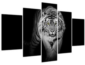 Kép - Sárga szemű tigris (150x105 cm)