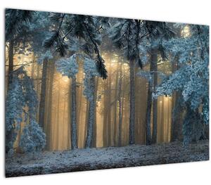 A havas erdő képe (90x60 cm)