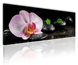 100x70 cm - Orchidea feng shui és spa vászonkép