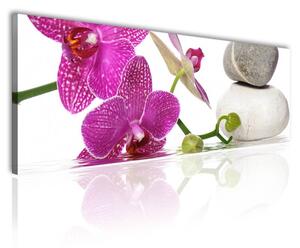 100x70 cm - Orchidea és spa vászonkép