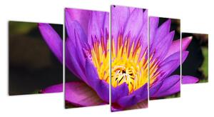 Modern kép - virágok (150x70cm)